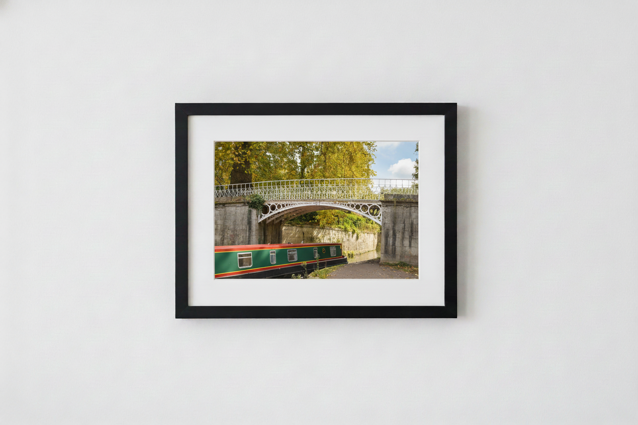 Sydney Gardens Print
