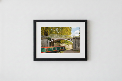 Sydney Gardens Print